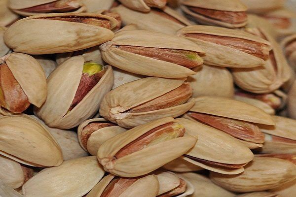 ناتوانی وزارت خارجه در حمایت از تاجران پسته 