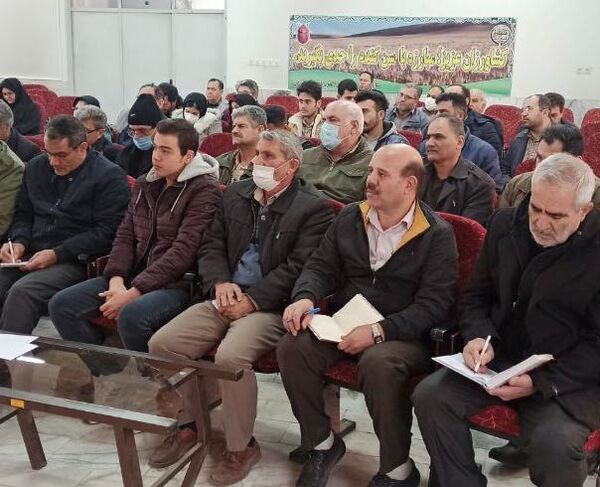 برگزاری دوره آموزشی پرورش ملکه زنبور عسل در میانه 
