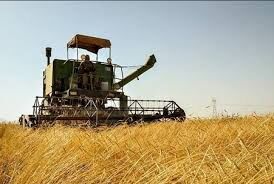 افزایش 25 درصدی خرید گندم در خوزستان