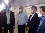 مشاور وزیر جهاد کشاورزی از واحد مرغ تخمگذار در سمنان بازدید کرد