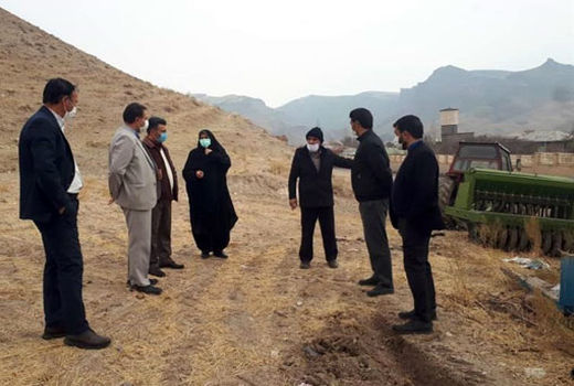 رفع تداخل 3500 هکتار از اراضی کشاورزی شهرستان هشترود	