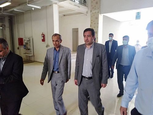 خرید گندم و ذخیره آن فقط بر عهده دولت