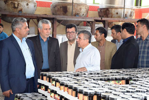 پیوند کارخانجات صنایع غذایی آذربایجان شرقی با تولید کنندگان خرمای کرمان 