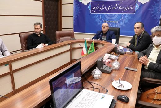 ۵۸۰۰ هکتار از کشت‌های قراردادی استان قزوین تحت پوشش بیمه  قرار گرفت