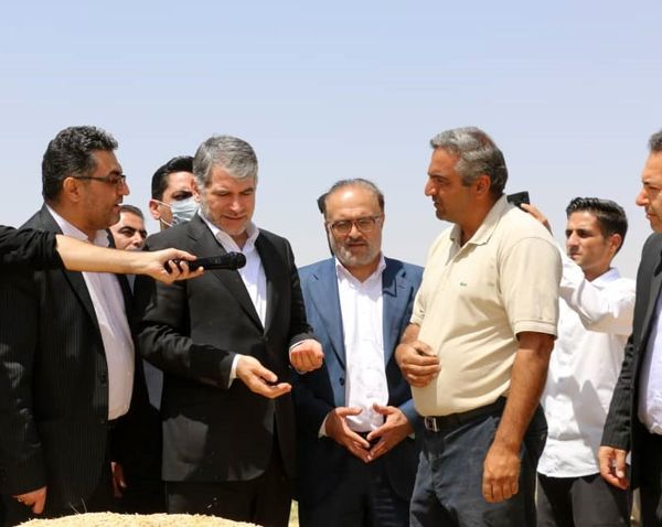 خداقوت وزیر جهاد کشاورزی به گندم کاران در بازدید از مزارع گندم بیجار