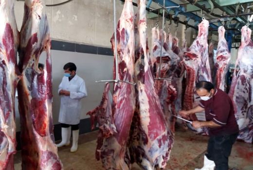 استان بوشهر تا پایان سال در تولید گوشت قرمز خودکفا می‌شود 