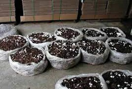 پرداخت بیش از دو میلیارد تومان تسهیلات به طرح‌های مشاغل خانگی در آبادان