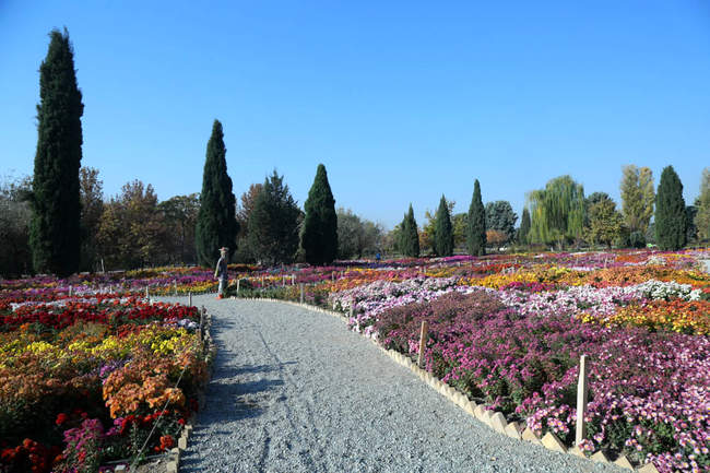 بازدید تور رسانه ای از باغ ملی گیاه شناسی ایران                   