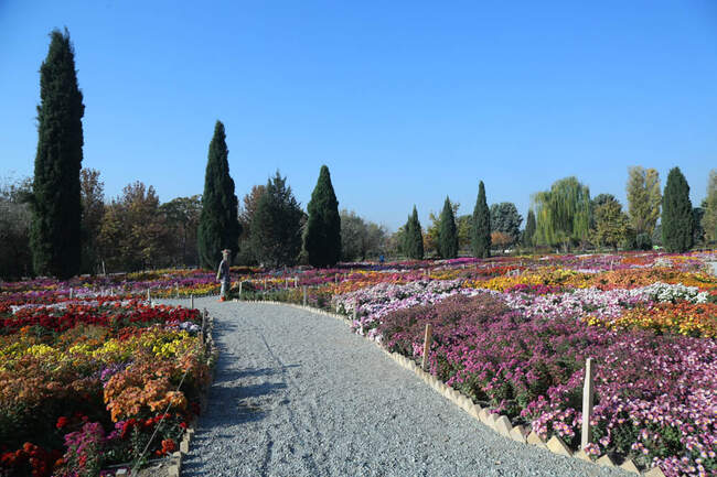 بازدید تور رسانه ای از باغ ملی گیاه شناسی ایران                   