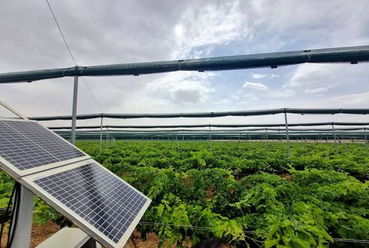 افتتاح مرحله ٢ طرح باغ‌سایبان در استان کرمانشاه با حضور وزیر کشاورزی

