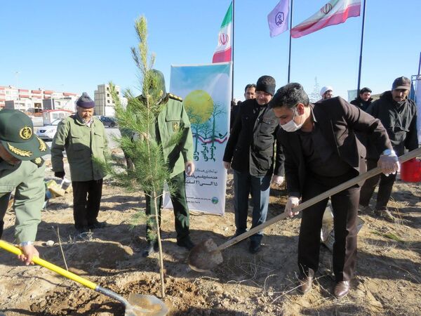 کاشت 1400 نهال به یاد 1400 شهید شهرستان مراغه