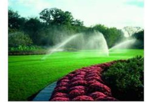 تجهیز 5500 هکتار مزارع کشاورزی جویبار به سامانه آبیاری نوین