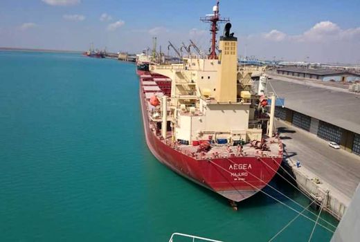 کشتی‌های نهاده‌های دامی در انتظار تخصیص ارز