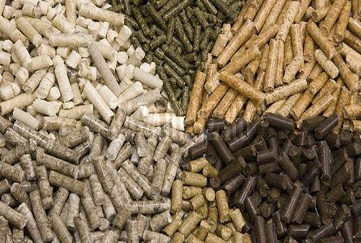 ۱۴ هزار تن نهاده‌های دامی در ایلام توزیع شد