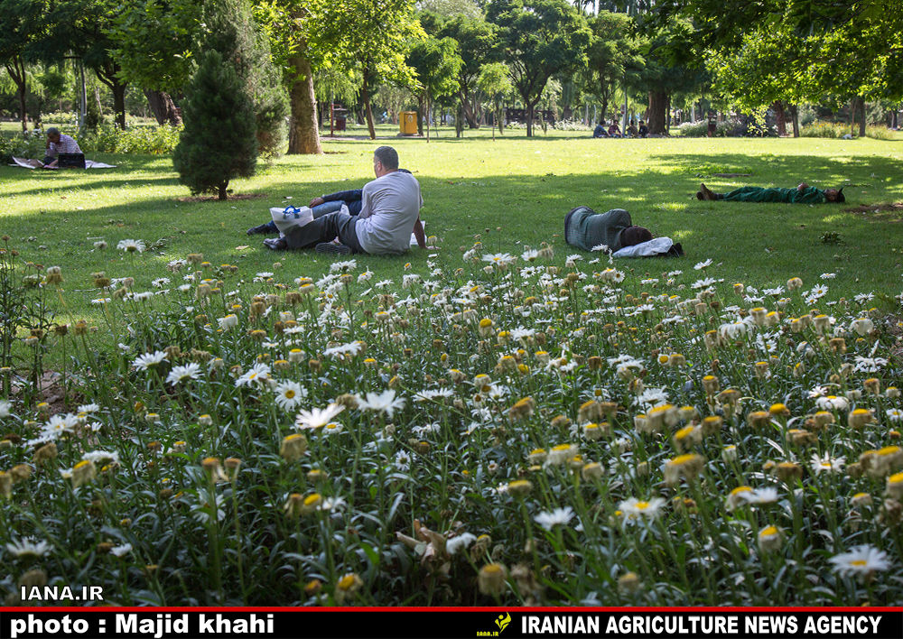 استراحت در فضای سبز شهری
