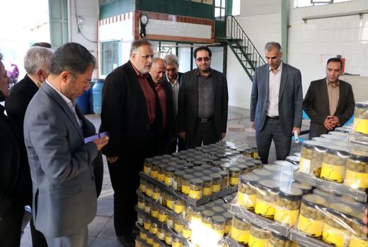 بازدید استاندار قزوین از یک واحد تولیدی فراوری زیتون در طارم سفلی