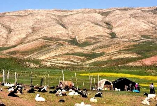  «روز ملی مرتع و مرتعداری» در مسیر ثبت در تقویم ملی قرار گرفت/ مرتع؛ جلوه بصری دوستی طبیعت و فرهنگ
