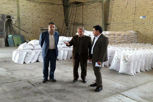 شهرستان هشترود، قطب تولید بذور اصلاح شده گندم دیم در آذربایجان شرقی است