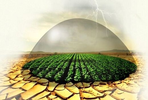 افزایش سطح بیمه انواع محصولات کشاورزی به بیش از 27 هزار هکتار  