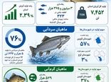 اینفوگرافی | رشد تولید آبزیان در قزوین