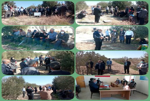 برگزاری روز مزرعه زیتون در سربیشه