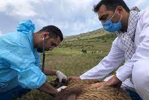 ارایه ۳۳ میلیون خدمت رایگان به مناطق روستایی و عشایری 