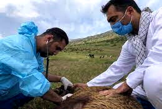 ارایه ۳۳ میلیون خدمت رایگان به مناطق روستایی و عشایری 