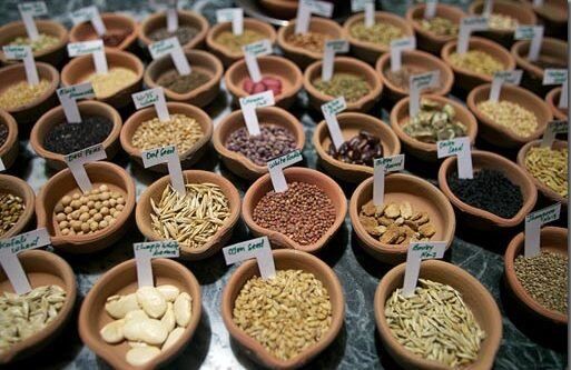  تامین و توزیع ۲۰۳ هزار تن بذر اصلاح شده در 28 استان کشور 