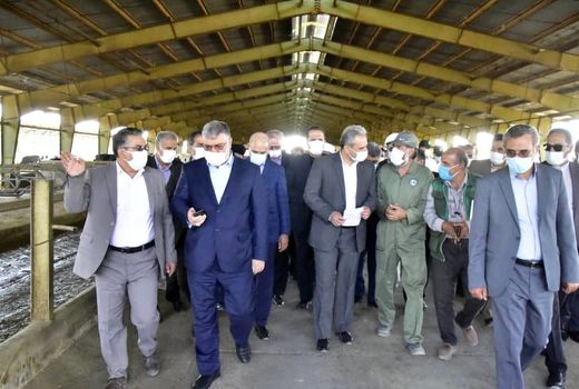 بازدید از مجتمع کشت و صنعت بیدمشک با حضور وزیر جهاد کشاورزی