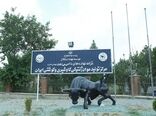 تولید داخلی اسپرم دامی، وابستگی ایران به واردات را ۸۰ درصد کاهش داد / مرکز ملی ژنتیک دامی؛ قلب تپنده اصلاح نژاد در ایران
