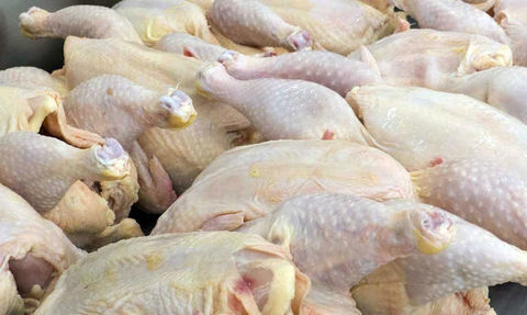 هیچگونه مرغی تحت عنوان مرغ تعاونی، دولتی و آزاد وجود ندارد
