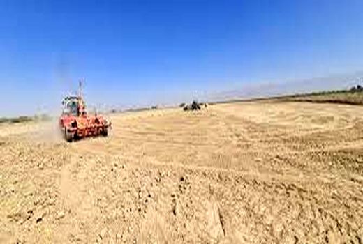 مهاجرت معکوس و ایجاد اشتغال با افتتاح طرح کشاورزی در آبادان