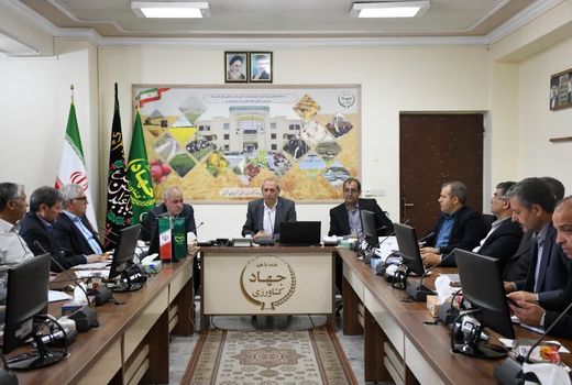 نگرانی برای تأمین گندم و آرد مورد نیاز مردم در آذربایجان شرقی وجود ندارد