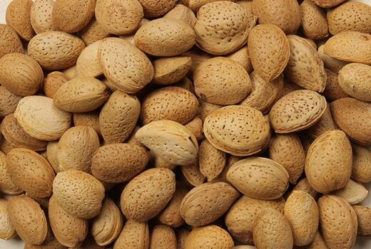 کار برداشت بادام در سپیدان به پایان رسید