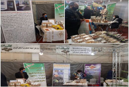 عرضه بیش از دو تن محصول سالم در دوازدهمین نمایشگاه تخصصی کشاورزی استان قزوین