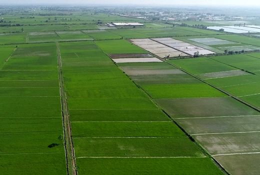 کاهش پرونده‌های امور زمین در مراجع قضایی با رفع تداخلات اراضی 