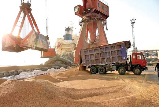 هشدار دبیر اتحادیه نهاده های دام و طیور نسبت به بحران رفع تعهد ارزی وارد کنندگان