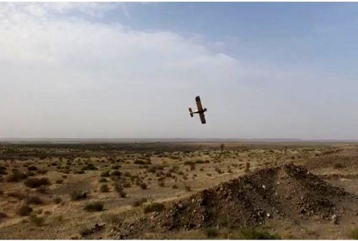 پرواز هواپیما برای زمین گیرکردن لشکر ملخ ها