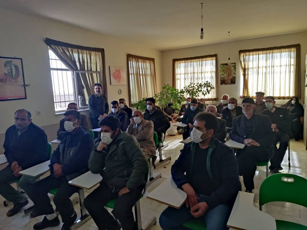 کشاورزان تاکستانی با روشهای نوین کشت حبوبات دیم آشنا شدند