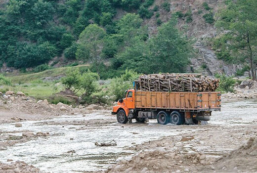 بیش از ۷۳ هزار کیلوگرم چوب و زغال قاچاق در چهارمحال و بختیاری کشف و ضبط شد 