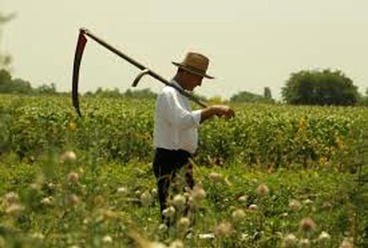 افزایش بودجه کشاورزی در صربستان