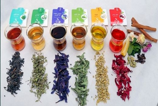 ارائه طرح‌های کارآفرینانه برای صنعت گیاهان دارویی 