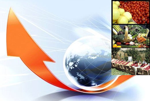 افزایش ۲۶ درصدی صادرات بخش کشاورزی در سال ۹۹