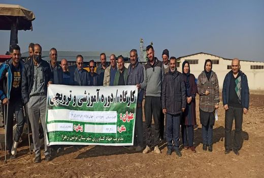 برگزاری کارگاه آموزشی کشت مستقیم نخود دیم در مزارع بوئین زهرا