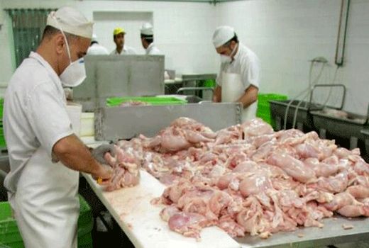 ممنوعیت قطعه بندی گوشت مرغ و ماهی در واحدهای صنفی