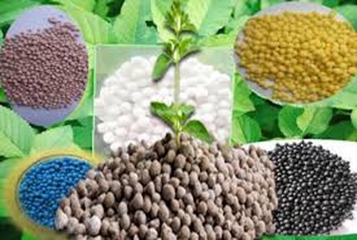 کشاورزان شهرستان اسفراین نگران تهیه کود شیمیایی نباشند