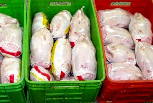 صدور مجوز خرید تضمینی 500 تن گوشت مرغ منجمد مازاد واحدهای تولیدی در آذربایجان غربی 
