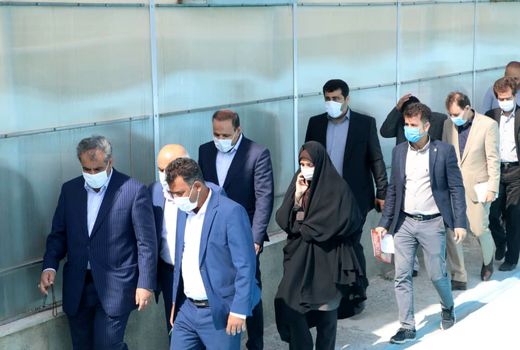 بازدید استاندار قزوین از واحد گلخانه تولید توت فرنگی در شهرستان تاکستان