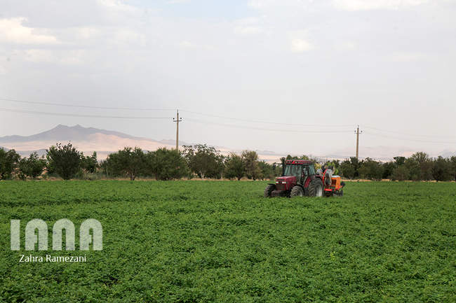 خلاقیت کشاورز خمین برای صرفه جویی آب