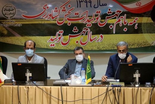 قیمت خرید توافقی شلتوک در خوزستان تعیین شد